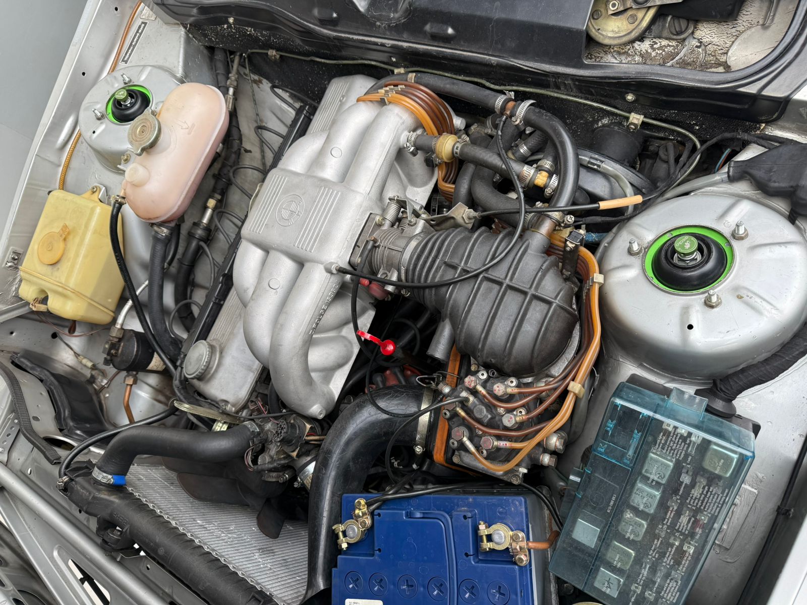 BMW 323 - Imagen 5